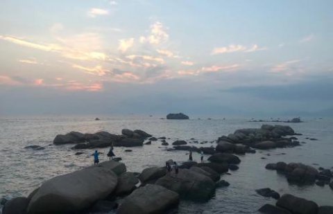 龙门国际股权激励：初创企业股权激励如何做？